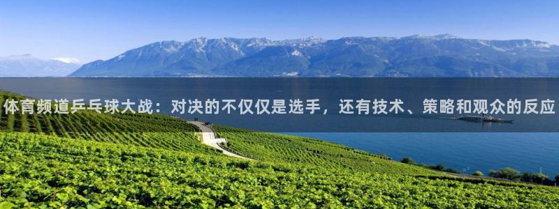 体育频道乒乓球大战：对决的不仅仅是选手，还有技术、策略和观众的反应