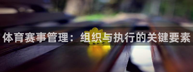 体育赛事管理：组织与执行的关键要素