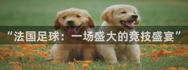 “法国足球：一场盛大的竞技盛宴”