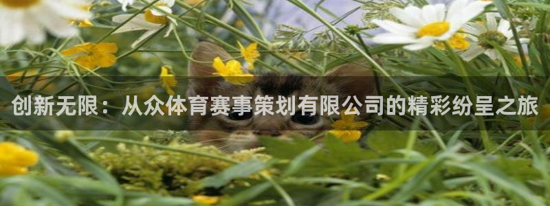 创新无限：从众体育赛事策划有限公司的精彩纷呈之旅