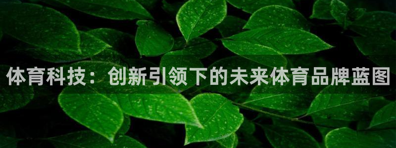 体育科技：创新引领下的未来体育品牌蓝图