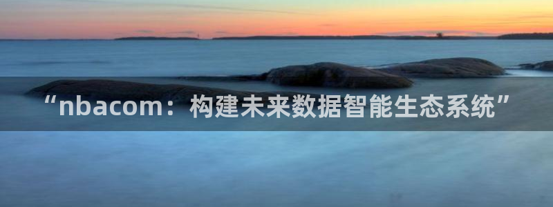 “nbacom：构建未来数据智能生态系统”