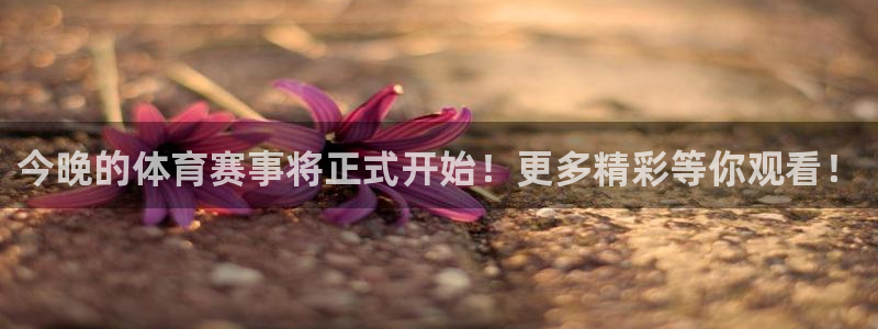 今晚的体育赛事将正式开始！更多精彩等你观看！