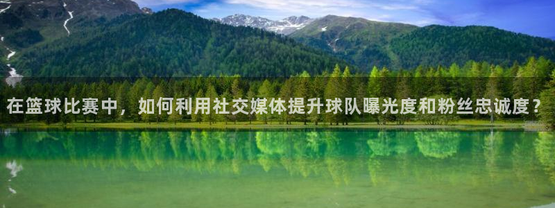 在篮球比赛中，如何利用社交媒体提升球队曝光度和粉丝忠诚度？