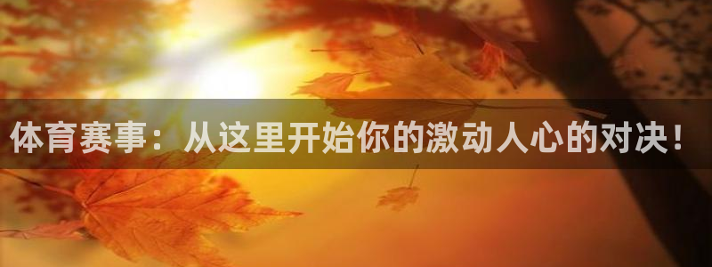 体育赛事：从这里开始你的激动人心的对决！