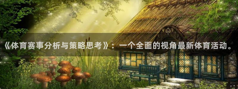 《体育赛事分析与策略思考》：一个全面的视角最新体育活动。