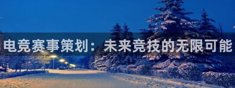 电竞赛事策划：未来竞技的无限可能
